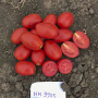 Томат 9905 F1 Lark Seeds