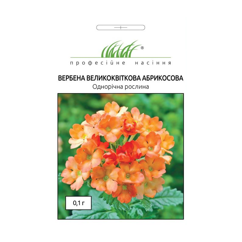 Вербена крупноцветковая абрикосовая Професійне насіння 0.1 г
