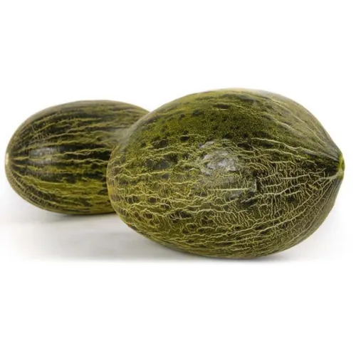 Дыня АРЕНАЛЕС F1| ARENALES Enza Zaden 250 семян