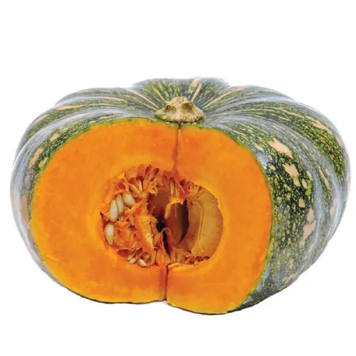 Тыква ХОНШУ F1 | HONSHU F1 Enza Zaden 500 семян