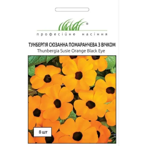 Тунбергия Сюзанна оранжевая 8 шт