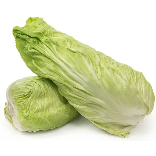 Салат Радиччио ВЕСПЕРО F1 | VESPERO F1 Enza Zaden 5000 сеямян