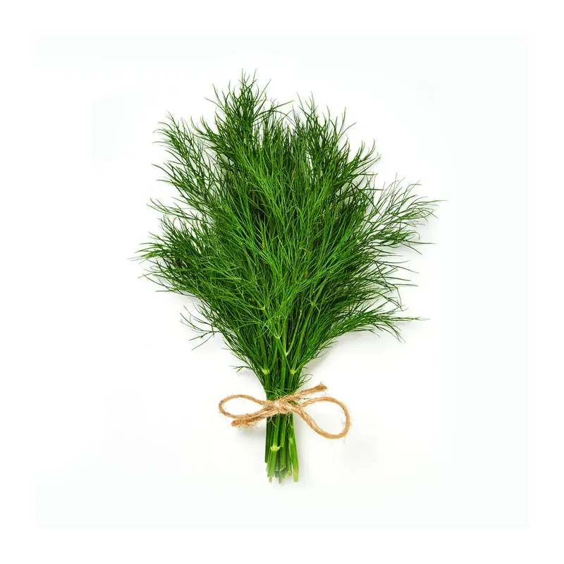 Кріп ГРІН СЛІВС | GREEN SLIVS Enza Zaden 50 000 семян