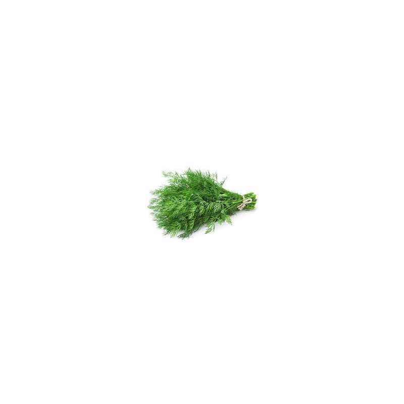 Укроп Брум | Broom Spark Seeds 100 грамм