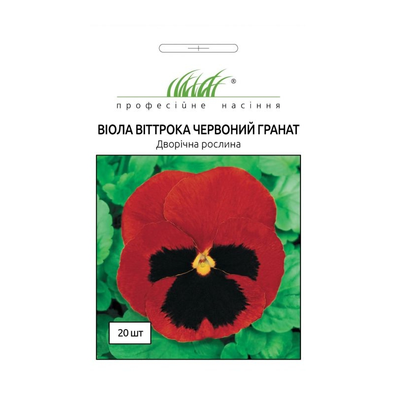 Фіалка Професійне насіння Гранат червоний 20 насінин