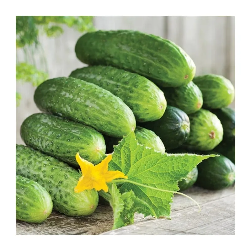 Семена огурца Балалайка F1 Элитный ряд Молдова 10 шт