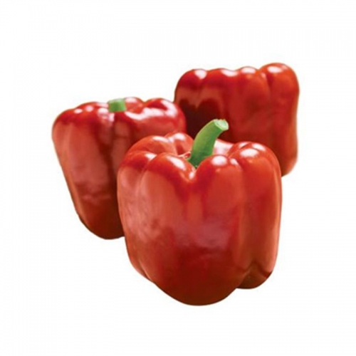Перець солодкий 1601 F1 Lark Seeds Перець солодкий 1601 F1 Lark Seeds