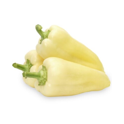 Семена переца Бравия F1 | Bravia F1 Rijk Zwaan