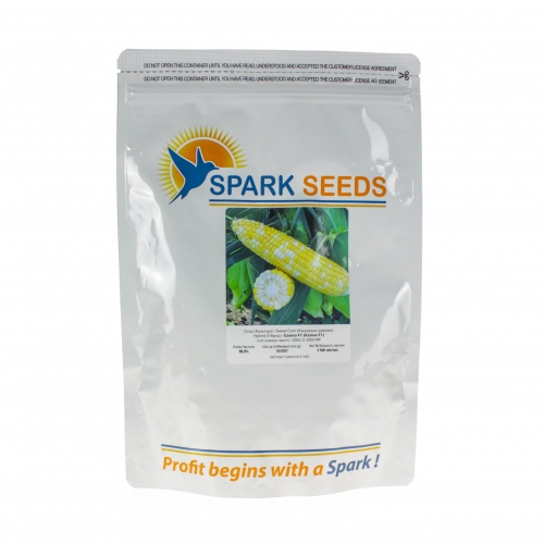 Кукуруза Казино F1 Spark Seeds