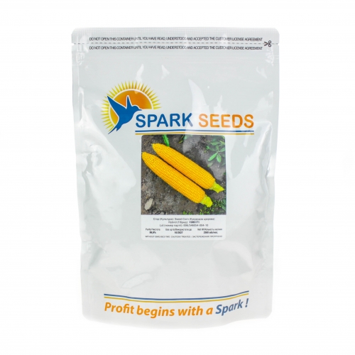 Кукурудза цукрова 1980 F1 LARK SEEDS Кукурудза цукрова 1980 F1 LARK SEEDS