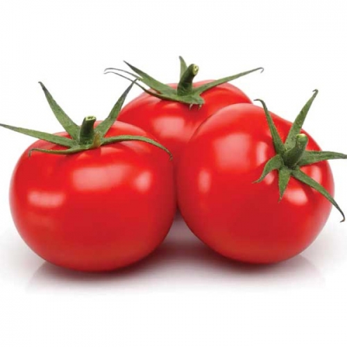 Томат Елітний&nbsp;ряд&nbsp;ВОЛГОГРАДСЬКИЙ&nbsp;5&nbsp;/&nbsp;95&nbsp;сортовий&nbsp;10&nbsp;г (на вагу)
