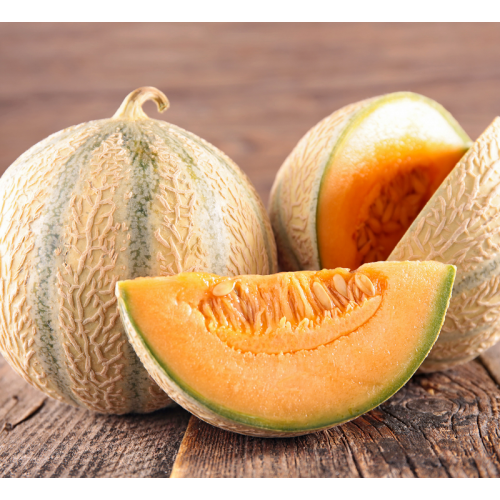 Диня Талісман F1 | Talisman F1 Sakata