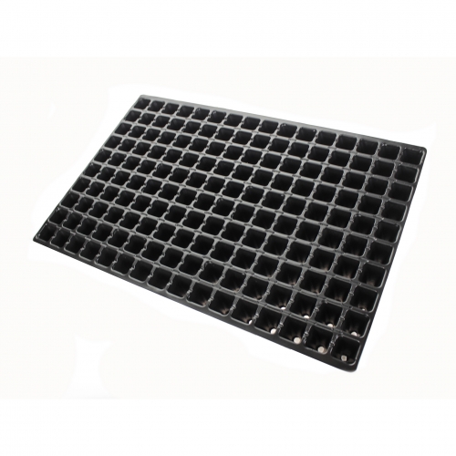 Кассета для рассады на 160 ячеек Roko Польша 40*60 см (в ящике 100 шт.)