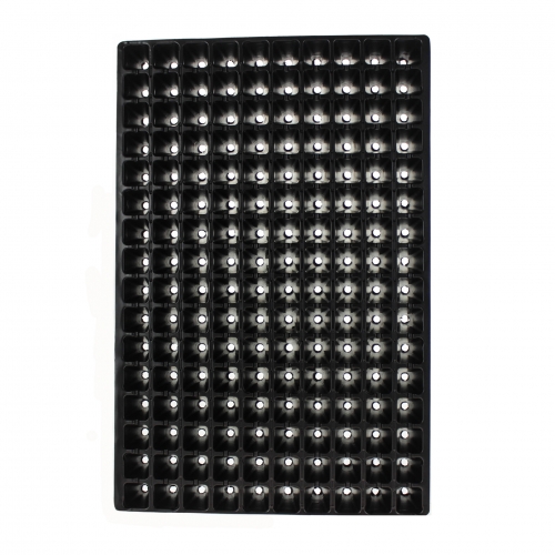 Кассета для рассады на 160 ячеек Пласмодерн Украина 40*60 см (в ящике 100 шт.) Кассета для рассады на 160 ячеек Пласмодерн Украина 40*60 см (в ящике 100 шт.)