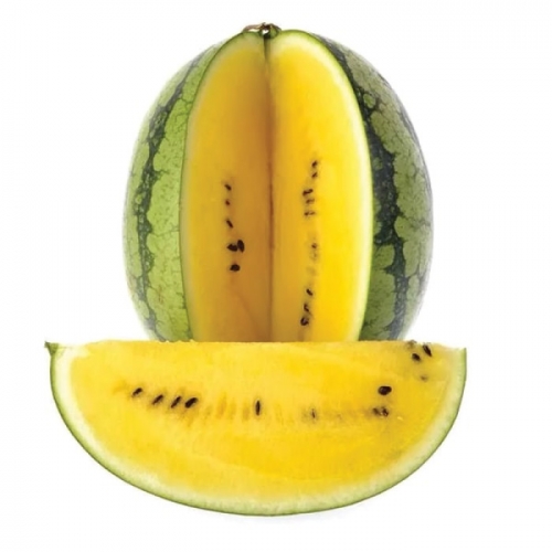 Арбуз Елов Лав F1 | Yellow Love F1 Clause