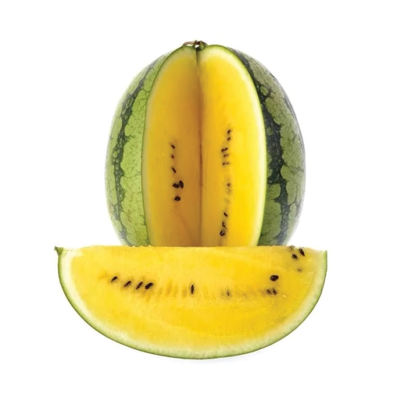 Арбуз Елов Лав F1 | Yellow Love F1 Clause