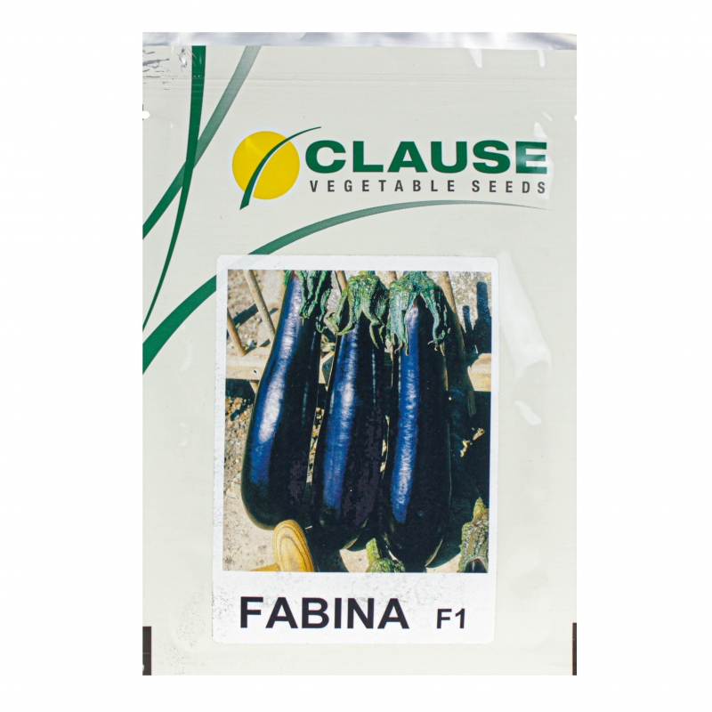 Баклажан ФАБІНА F1 | FABINA F1 Clause