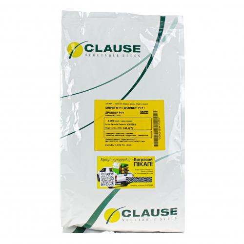 Кукуруза ДРАЙВЕР F1 | DRAYUVER F1 Clause Кукуруза ДРАЙВЕР F1 | DRAYUVER F1 Clause