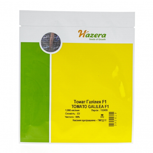 Томат ГАЛІЛЕЯ F1 | GALILEA F1 Hazera Томат ГАЛІЛЕЯ F1 | GALILEA F1 Hazera