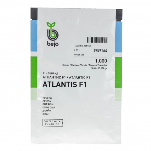 Огірок АТЛАНТІС F1 Bejo | ATLANTIS F1 Bejo Огірок АТЛАНТІС F1 Bejo | ATLANTIS F1 Bejo