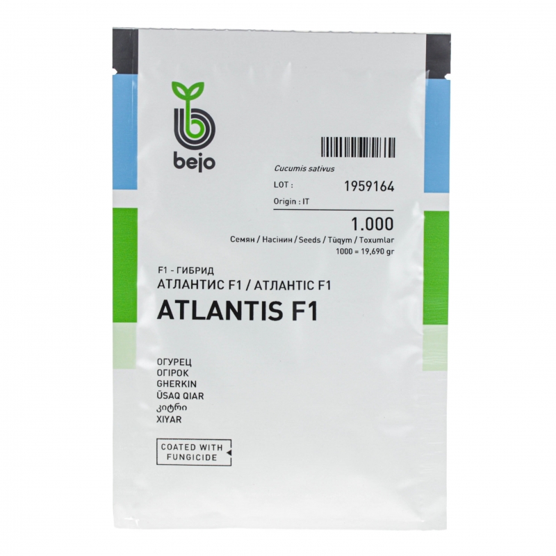 Огірок АТЛАНТІС F1 Bejo | ATLANTIS F1 Bejo