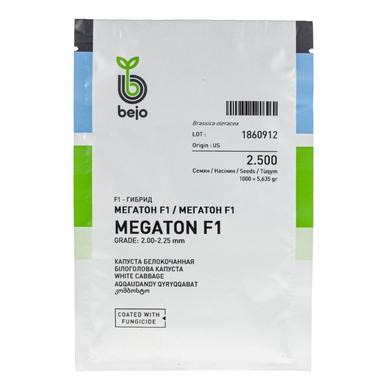 Капуста білоголова Мегатон F1 | MEGATON F1 Bejo