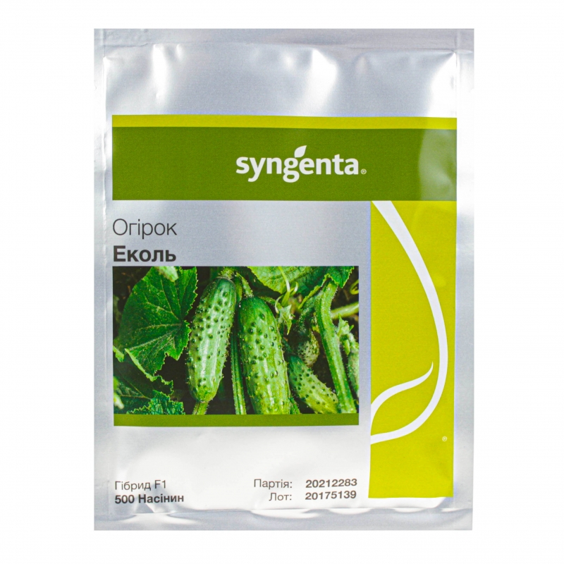 Огірок ЕКОЛЬ F1 | EKOL F1 Syngenta