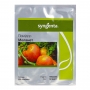 Томат МЕЛАНЕТ F1 | MELANET F1 Syngenta