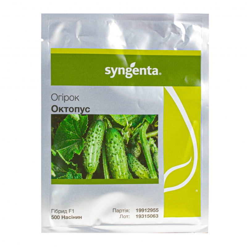 Огірок ОКТОПУС F1 | OCTOPUS F1 Syngenta