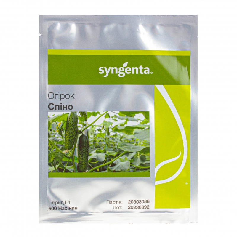 Огурец СПИНО F1 | SPINO F1 Syngenta
