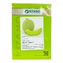 Дыня МИРА F1 | MIRA F1 Kitano Seeds