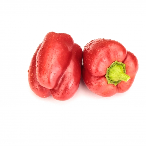 Перець кубовидний Ангус F1 | Angus F1 Syngenta