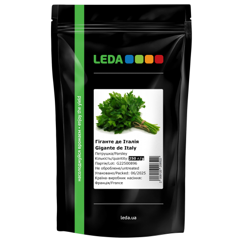 Петрушка Гіганте Де Італія Leda Петрушка Гіганте Де Італія Leda