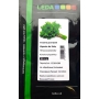 Петрушка Гіганте Де Італія Leda