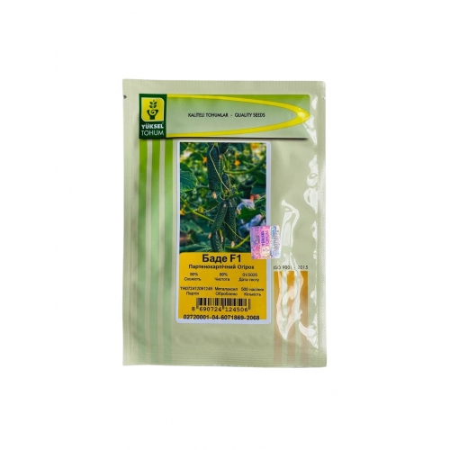 Огурец корнишон БАДЕ F1 | BADE F1 Yuksel Огурец корнишон БАДЕ F1 | BADE F1 Yuksel