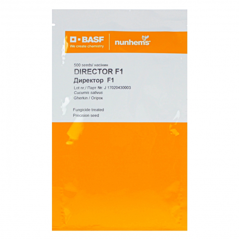 Огірок Nunhems Директор F1 | Director F1