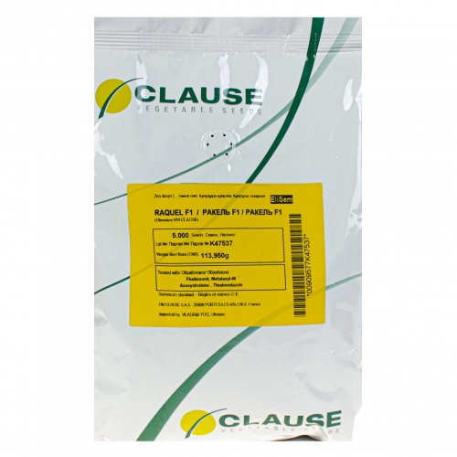 Кукурудза солодка Ракель F1 | Racel F1 Clause
