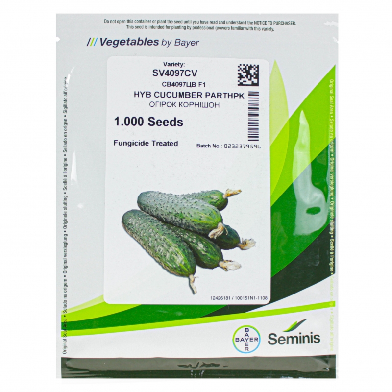 Огурец СВ 4097 ЦВ |SV 4097 CV F1 Seminis