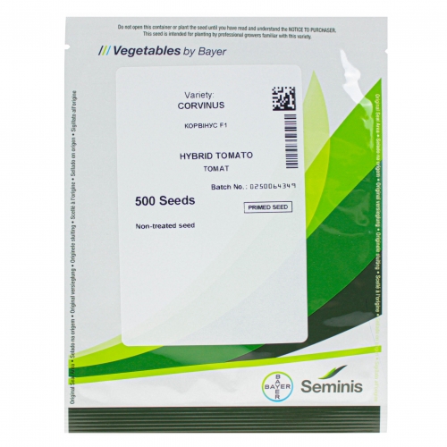 Томат КОРВИНУС F1|KORVINYS Seminis