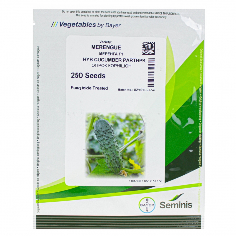 Огурец МЕРЕНГА F1 | MERENGA F1 Seminis