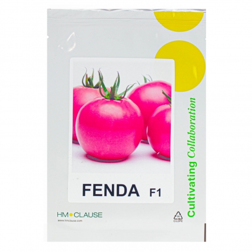 Томат ФЕНДА F1 | FENDA F1 Clause