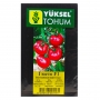 Томат ГЮСТО F1 | GUSTO F1 Yuksel