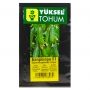 Огірок корнішон КАПРИКОРН F1 | KAPRIKORN F1 Yuksel