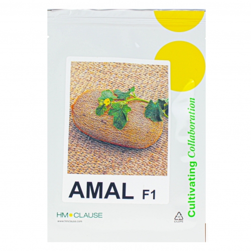 Дыня АМАЛ F1 | AMAL F1 Clause