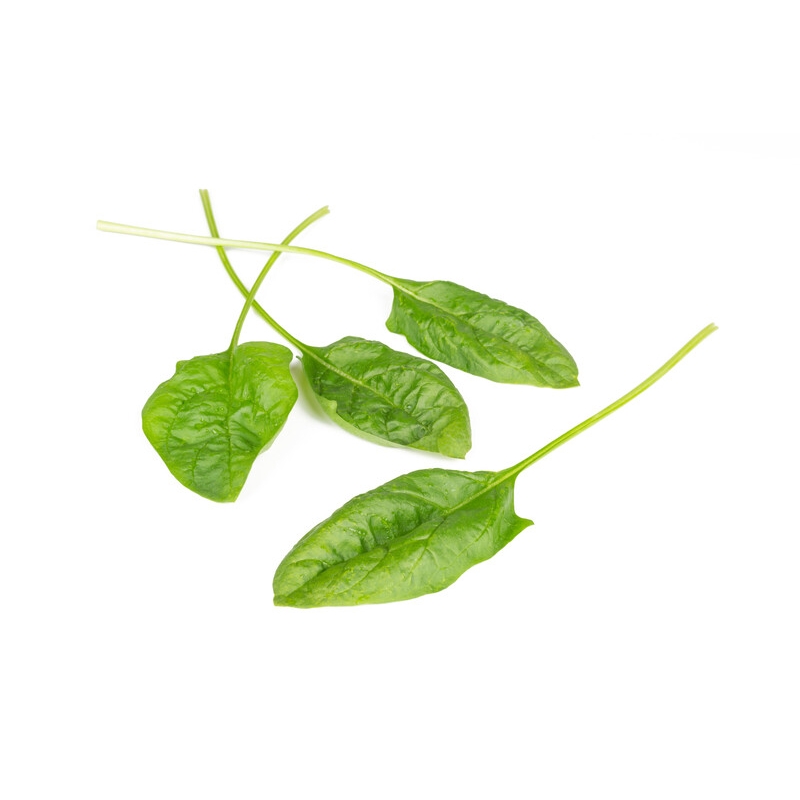 Шпинат Блобфиш F1 | Blobfish F1 Rijk Zwaan