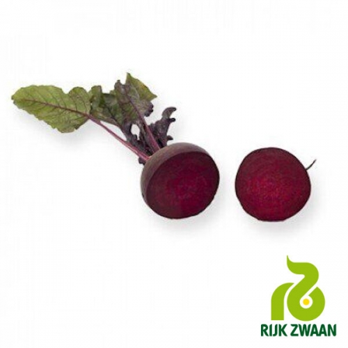Свекла столовая Родити F1 | Roditi F1 (фракция семян 3,0-3,5) RIJK ZWAAN