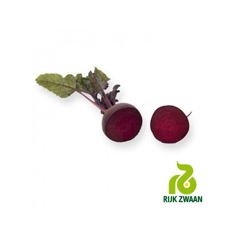 Свекла столовая Родити F1 | Roditi F1 (фракция семян 3,0-3,5) RIJK ZWAAN