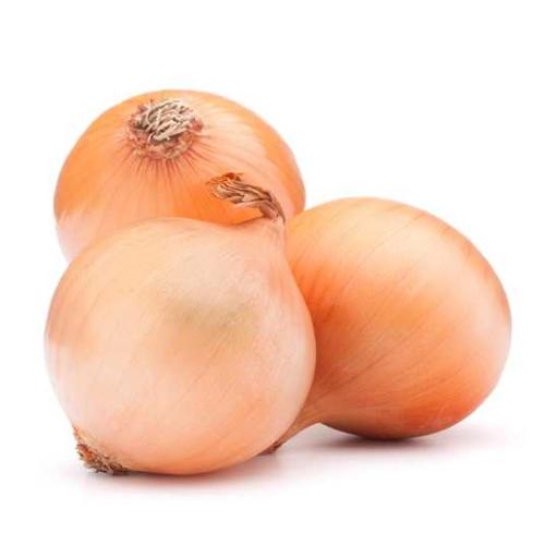 Цибуля Халцедон | Chalcedon Елітний ряд