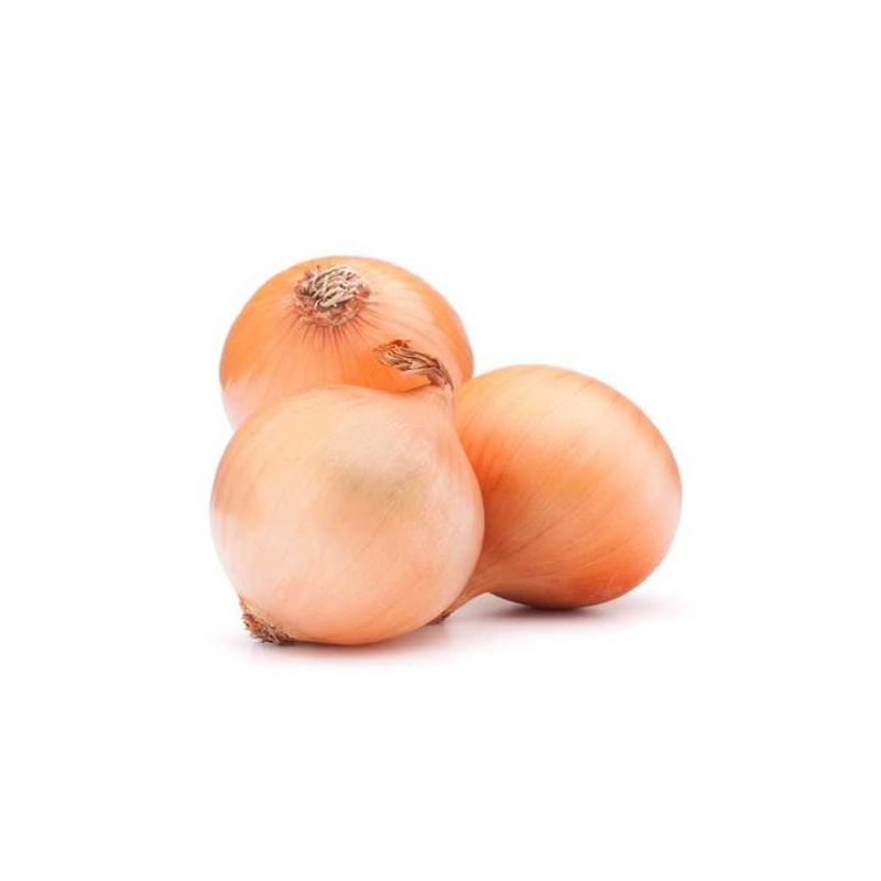 Цибуля Халцедон | Chalcedon Елітний ряд