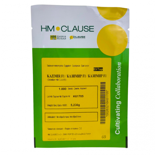 Баклажан КАЗИМІР F1 | KAZIMIR F1 Clause